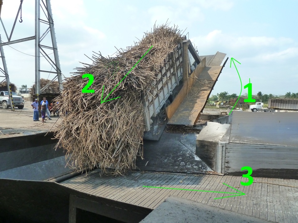 The unloading of the sugar cane